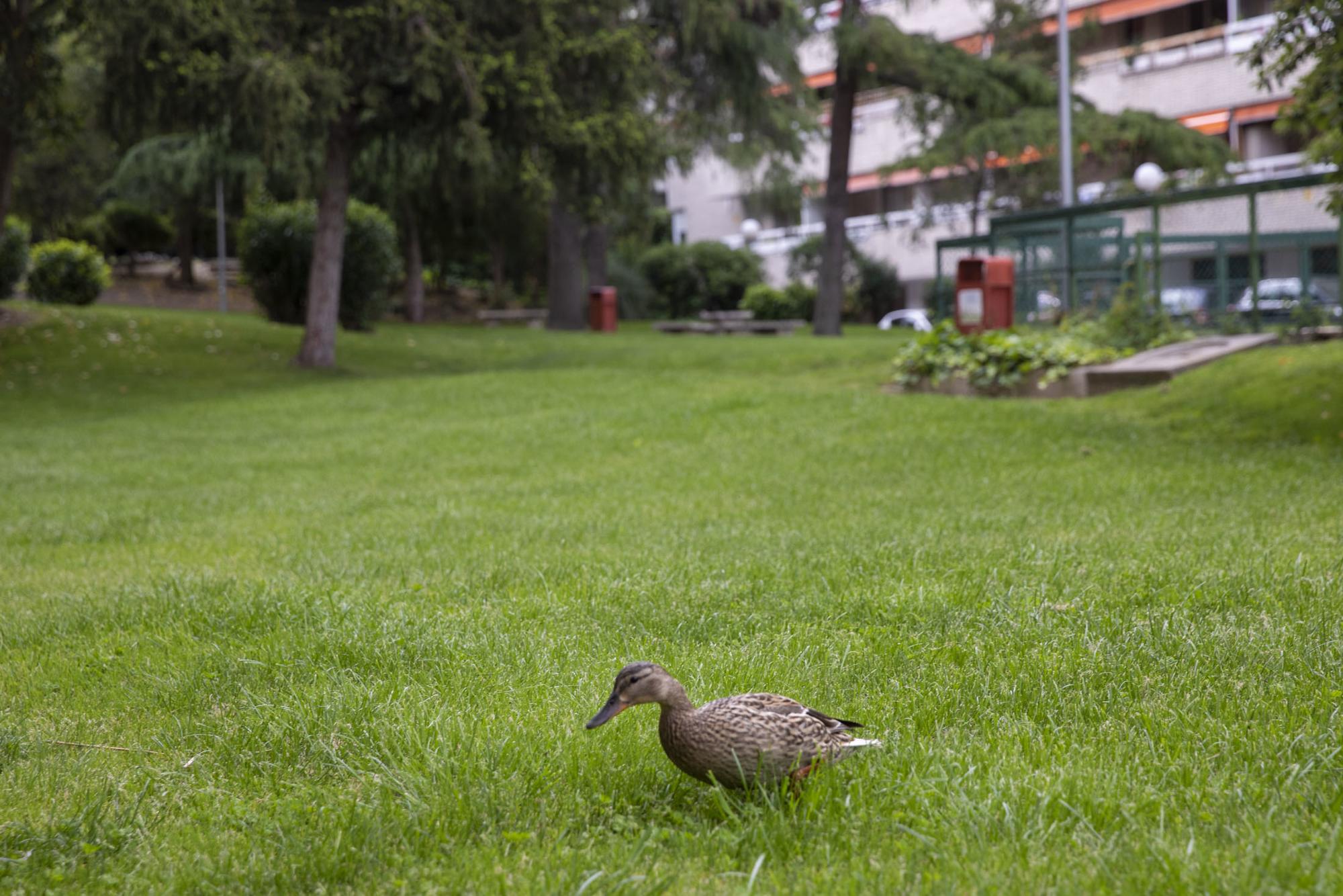 45 días a la sombra - 27